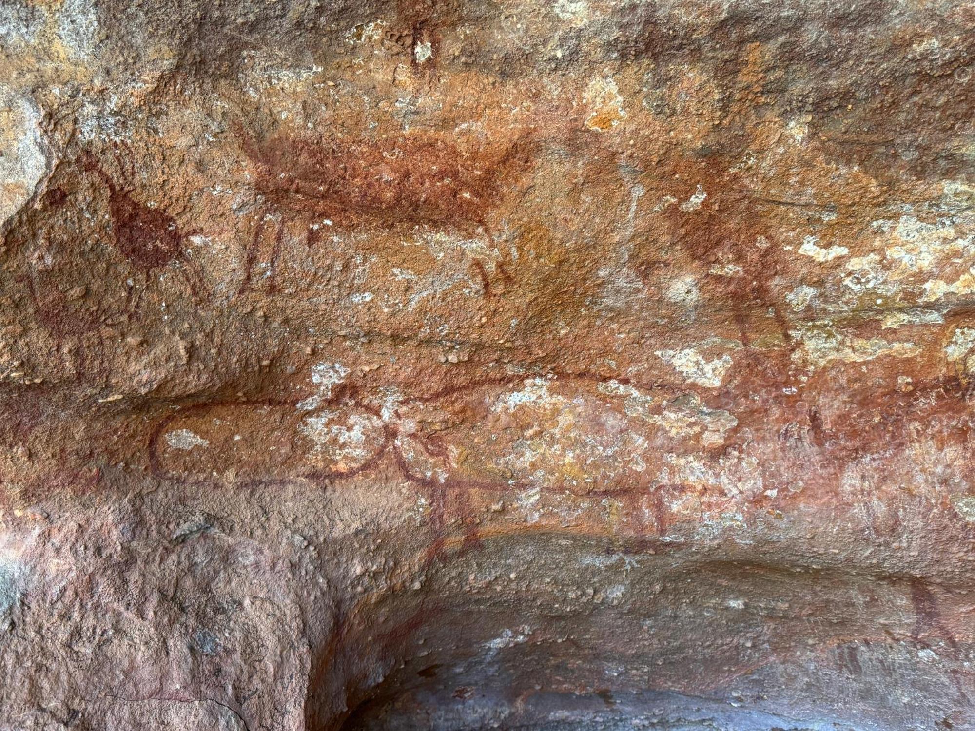 Casa Barreirinho Parque Nacional Serra Da Capivara Coronel Jose Dias Ngoại thất bức ảnh