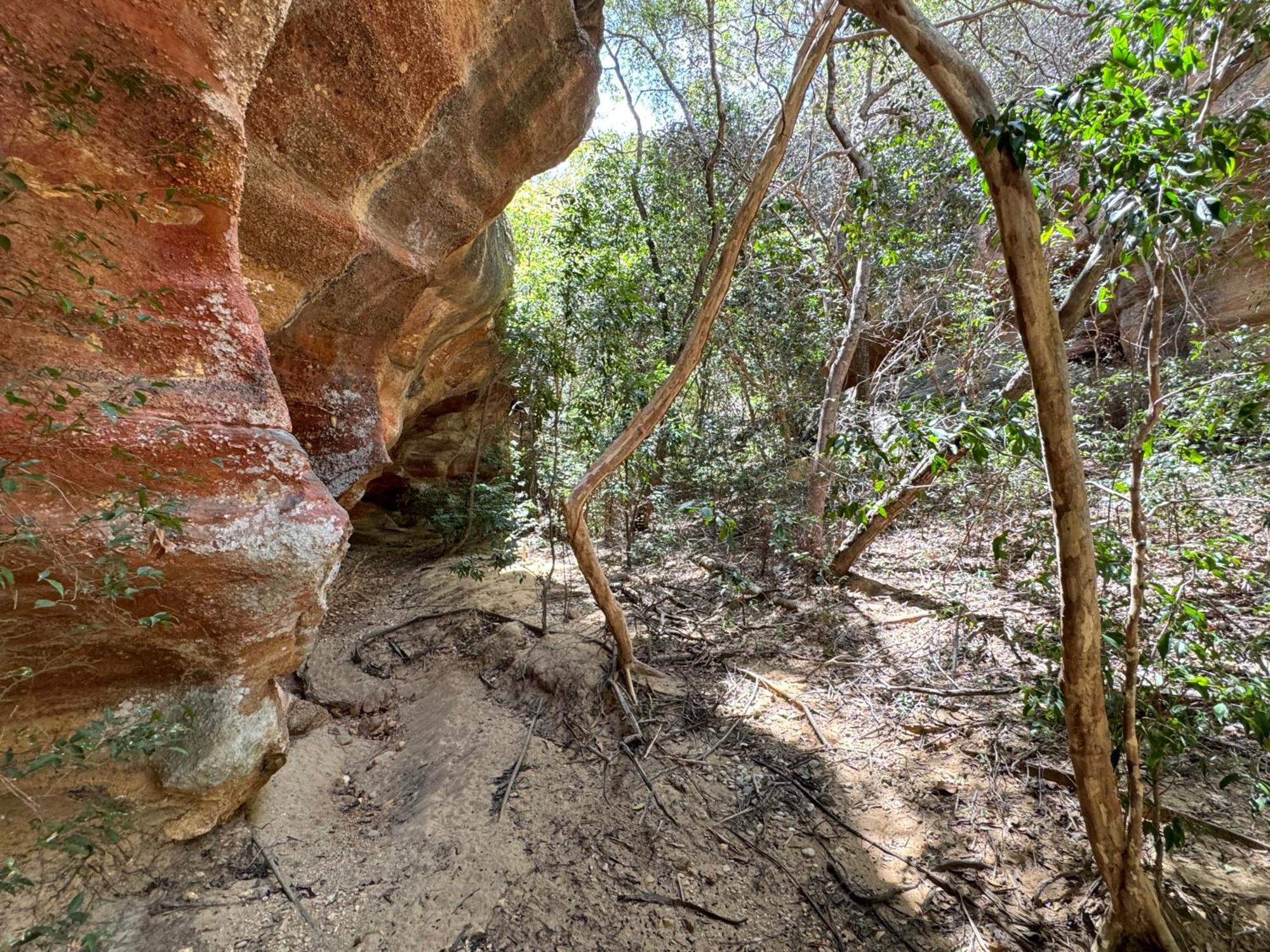 Casa Barreirinho Parque Nacional Serra Da Capivara Coronel Jose Dias Ngoại thất bức ảnh