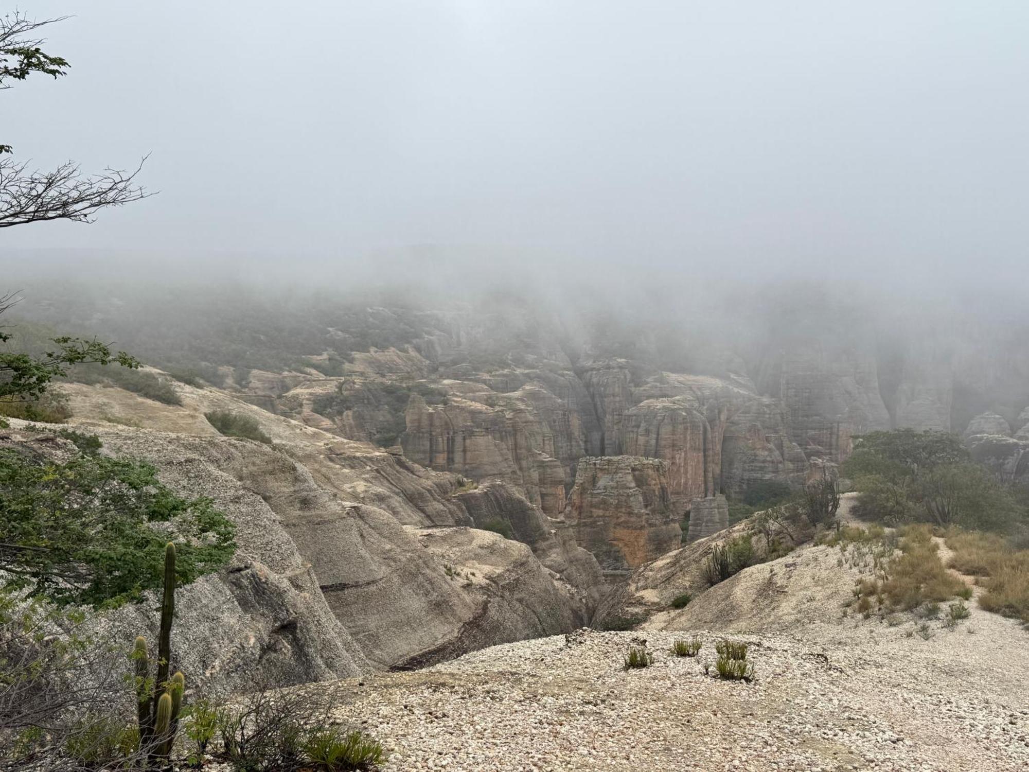 Casa Barreirinho Parque Nacional Serra Da Capivara Coronel Jose Dias Ngoại thất bức ảnh