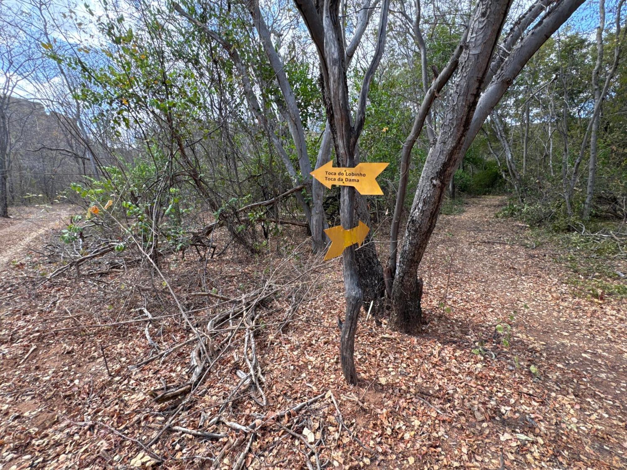 Casa Barreirinho Parque Nacional Serra Da Capivara Coronel Jose Dias Ngoại thất bức ảnh