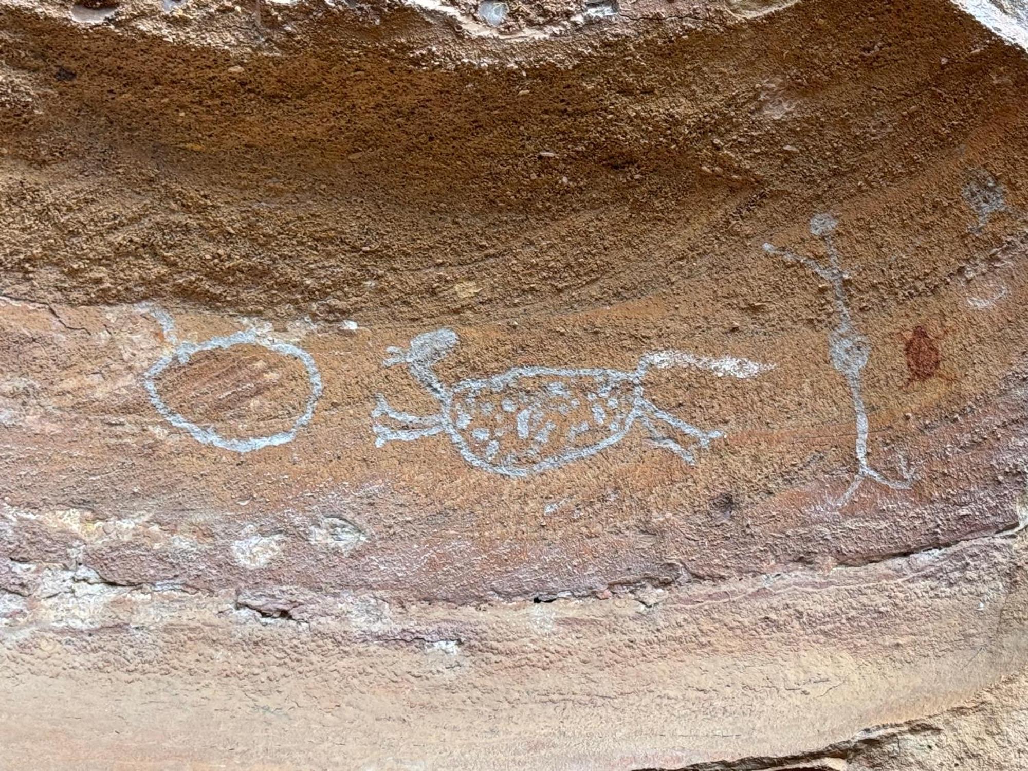 Casa Barreirinho Parque Nacional Serra Da Capivara Coronel Jose Dias Ngoại thất bức ảnh