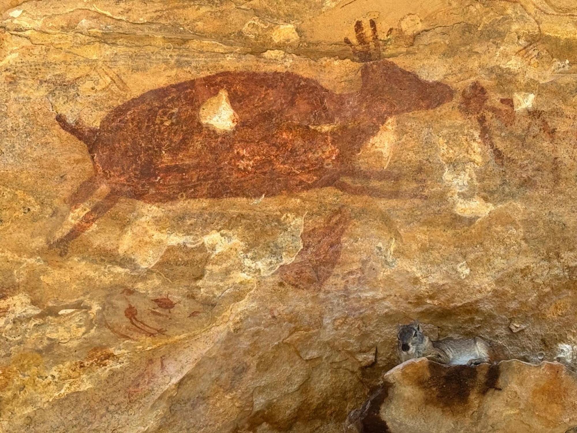 Casa Barreirinho Parque Nacional Serra Da Capivara Coronel Jose Dias Ngoại thất bức ảnh